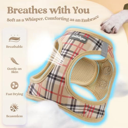 rabbitgoo Dog Harness Small Sized and Leash Set, Step-in Puppy Pet Vest - Image 4