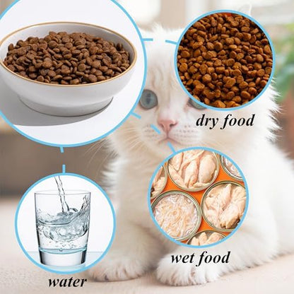 Ceramic Cat Bowl Dishes for Food and Water, Safe Food-Grade Porcelain 5.3 in 3 Pack Cat Dishes and Plates for Feeding Indoor Cats, Kittens and Small Dogs, Durable & Dishwasher Safe Pet Dish, Black - Image 4