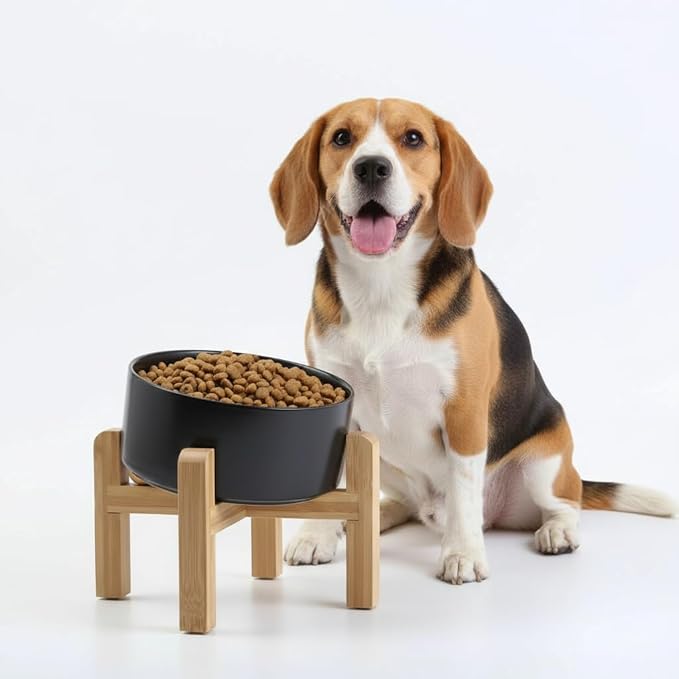 Petygooing Black Elevated/Raised 15°Slanted Ceramic Dog Bowl for Small and Medium Breeds, Tilted Anti Slip Pet Feeding Bowl,Food Water Dish with Stand for Cats and Dogs (28 OZ/3.6 Cups)