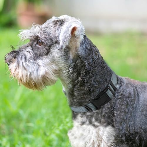 Joytale Reflective Dog Collar, Adjustable Neoprene Padded, Gray S - Image 2