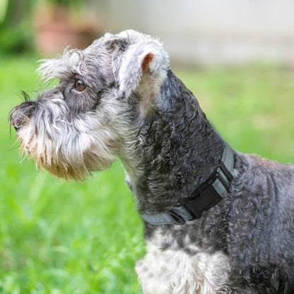 Joytale Reflective Dog Collar, Adjustable Neoprene Padded, Gray S - Image 2