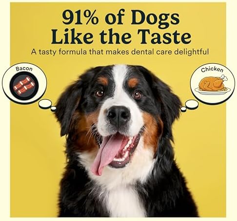 Jasper Dog Tooth Brushing Kit and Dog Toothpaste (Chicken) Kit 360 - Image 3