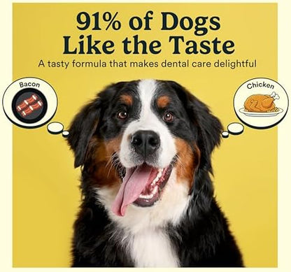 Jasper Dog Toothpaste Double Enzymatic, Chicken Flavor 3.5oz - Image 2