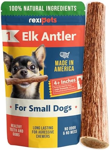 100% Natural - Antlers for Dogs - Naturally Shed in USA - Grade A Long Lasting Chew for Aggressive Chewers - Elk Antlers Dog Antler Chews - Real, Healthy Treats & Toys - No Odor & No Mess - Small by Rexipets