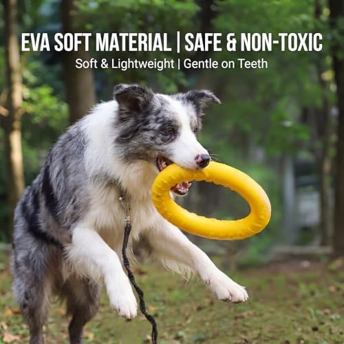 Dog Toys, Dog Chew Toys for Aggressive Chewers,Flying Discs for Medium/Large Breeds. Floating Dog Ring Toys for Throwing, Catching, Grabbing. (Large) - Image 2