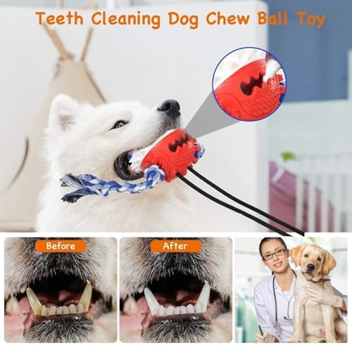 Suction Cup Dog Toy for Aggressive Chewers，Dog Rope Ball Interactive Tug of War Toy, Puppy Tug Toy Squeaky Ball Puzzle Toys for Teeth Cleaning Toys for Small Medium Large Dog - Image 5