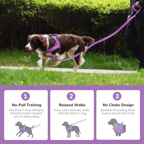 Didog No Pull Dog Harness for Small Dogs, Soft Flannel Padded, Purple, XS - Image 4
