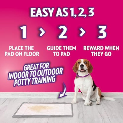OUT! PetCare XL Pee Pads for Dogs, Leak Proof, Extra Large, 26x24, 60 Count - Image 4