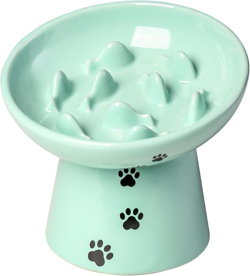 Y YHY Slow Feeder Cat Bowl, Ceramic Cat Slow Feeder Bowl, 6 Inches, Elevated, Anti Vomiting for Dry and Wet Food, Green
