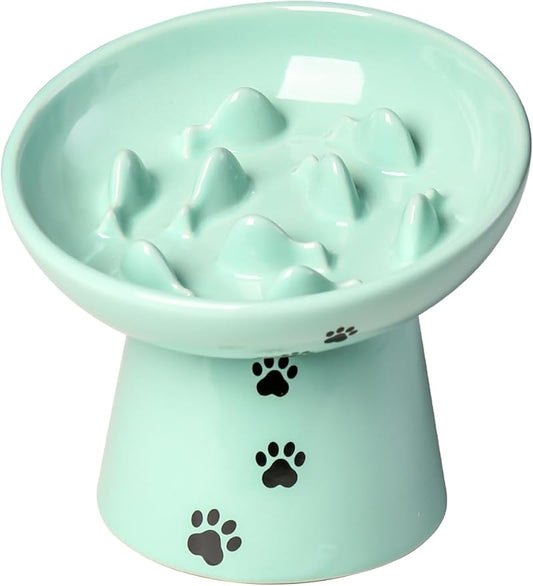 Y YHY Slow Feeder Cat Bowl, Ceramic Cat Slow Feeder Bowl, 6 Inches, Elevated, Anti Vomiting for Dry and Wet Food, Green