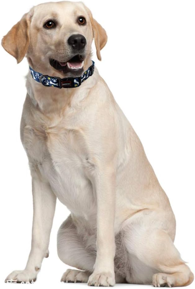 QQPETS Adjustable Soft Dog Collar: Print Flower Pink Multicolor Cute Patterns for XS Small Medium Large Pet Girl Boy Puppy Walking Running Training (M, Bone)