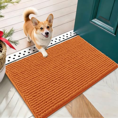 OLANLY Dog Door Mat for Muddy Paws 24x16, Extra Absorbent Chenille Mud Mat by OLANLY