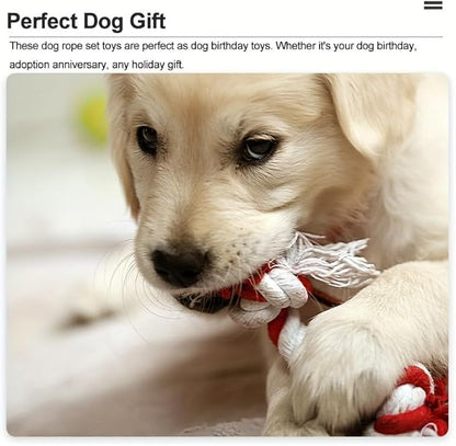 Puppy Rope Toys for Small Dogs - Puppy Teething Toys - Knots Dog Toy for Smart Newborn Pet and High Active Puppies - Doggy Mini Dental Pack of 4