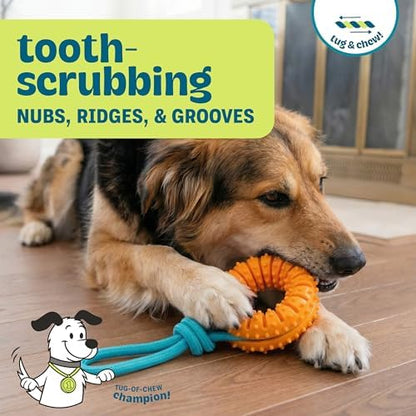 Dental Chew Wheel Durable Dog Toy, Tug & Chew, Mint Scent, 9.6" - Image 2