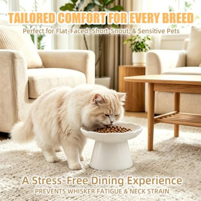 6" Elevated Cat Bowls,Ceramic cat Food Bowl, White, 1-Pack - Image 6
