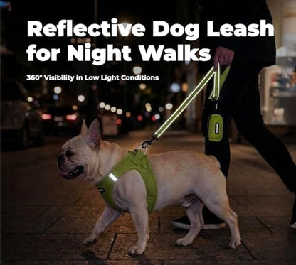Best Pet Supplies Voyager Nylon Dog Leash - Lime Green, Small - Image 4