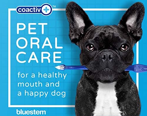 Dog Toothpaste : Chicken Flavor Tooth Paste for Dogs & Cats. Teeth Brushing Cleaner Pet Breath Freshener Oral Care Dental Cleaning Kit. Tartar & Plaque Remover Brushes - Image 2