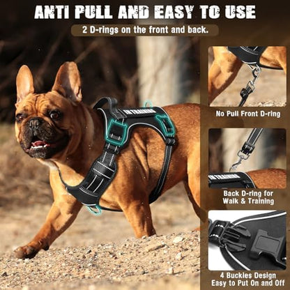Tactical Dog Harness and Leash Set Small Sized Dog+10 Dog Patches - Image 3