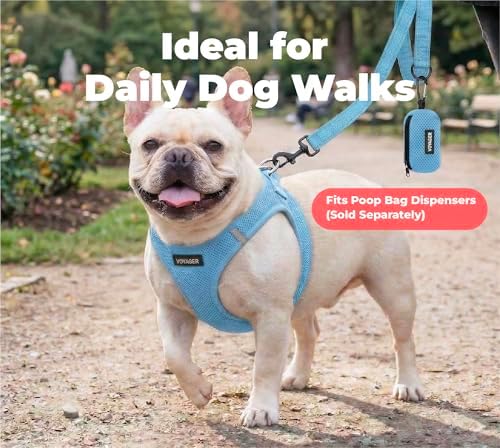 Best Pet Supplies Voyager Nylon Dog Leash - Baby Blue, Small - Image 3
