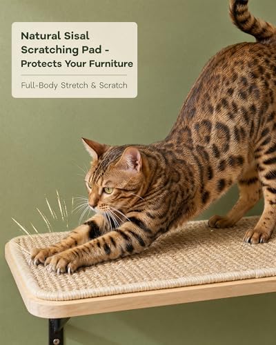 2PCS Cat Wall Shelves with Scratching Mat, 16.6x9.7 Inch Solid Pine Wood Wall Mounted Kitten Floating Shelf, Window Perch Hammock, Cats Wall Furniture for Cats Sleeping, Playing, Climbing - Image 4