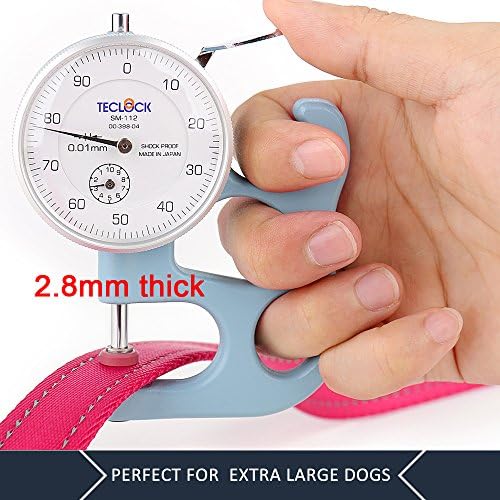 Plutus Pet Double Handle Dog Leash, 5 FT Long, for Medium Large Dogs - Image 5
