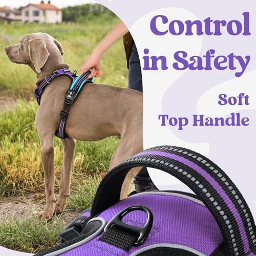 rabbitgoo Dog Harness Small Sized, Updated Easy On & Off with 3 Buckles - Image 5