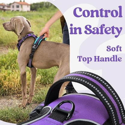 rabbitgoo Dog Harness Small Sized, Updated Easy On & Off with 3 Buckles - Image 5