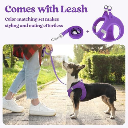 rabbitgoo Dog Harness Medium Sized and Leash Set, Step-in Puppy Pet Vest - Image 6