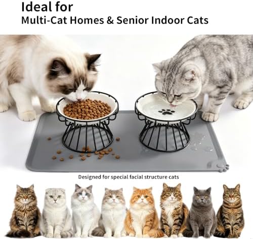 Elevated Ceramic Cat Bowl Set of 2 with Silicone Mat - Image 6