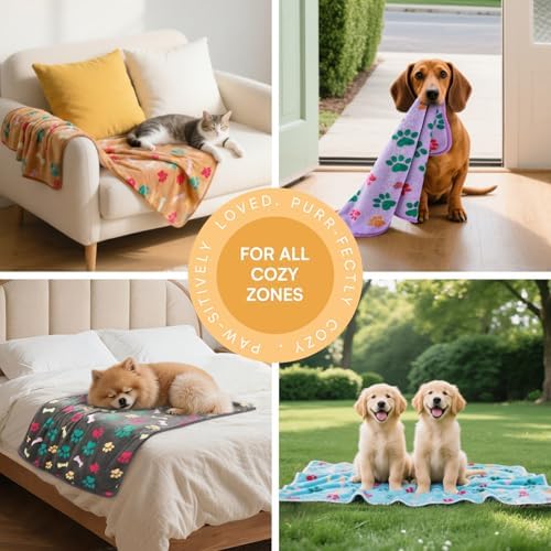 Luciphia 1 Pack 6 Dog Blankets Cat Soft Fluffy Fleece Pet Blanket Warm Cute Print Design Puppy Kitten Doggy Bone Medium(30"x20") - Image 3