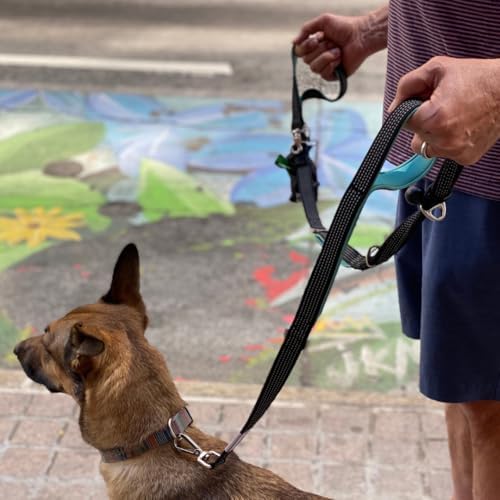 Heavy Duty Dog Leash for Large Dogs – 6FT Reflective Bungee with Padded Handles, Strong Carabiner Clip, No Pull Control for Medium & Large Breeds, Includes Poop Bag Holder & Treat Pouch (Royal Blue) - Image 3