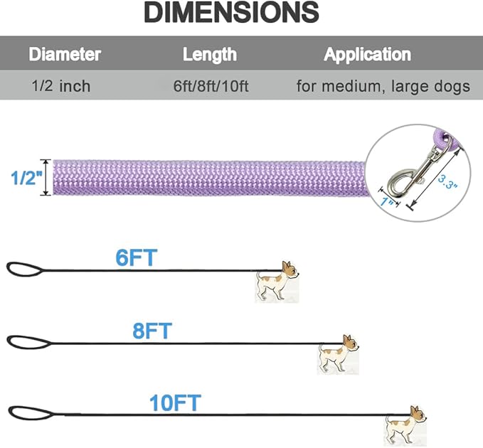 MayPaw 6/8 /10 FT Dog Leash, Classic Solid Colors, Strong Nylon Rope Dog Leash Reinforced with Leather Tailor Connection Heavy Duty Silver Clasp (Purple, 10ft*1/2")