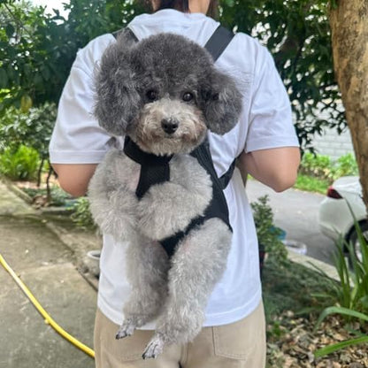 Dog Carrier Backpack, Breathable Mesh Chest Carrier for Small Dogs - Image 2