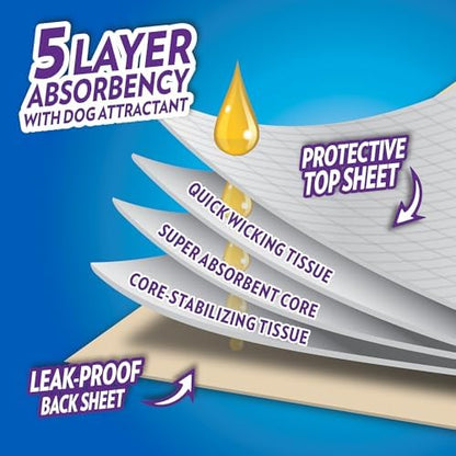 OUT! PetCare XL Pee Pads for Dogs, Leak Proof, Extra Large, 26x24, 60 Count - Image 2