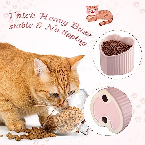 Mumufy 2 Pcs Ceramic Elevated Cat Bowls Tilted Elevated Raised Pet Bowls Anti Vomit Cat Dish for Indoor Stress Free Water Dish Feeder for Puppies, Heart Shaped(Pink) - Image 5