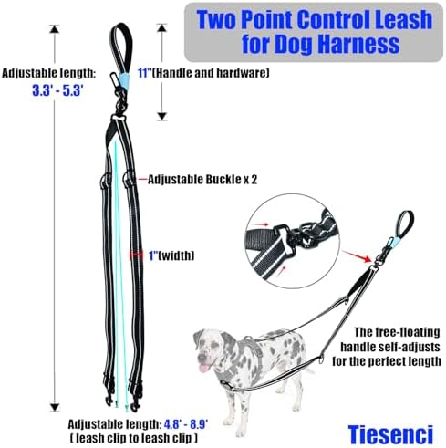 Two Point Control & Hands Free Dog Leash No Pull Black Large Dogs - Image 6