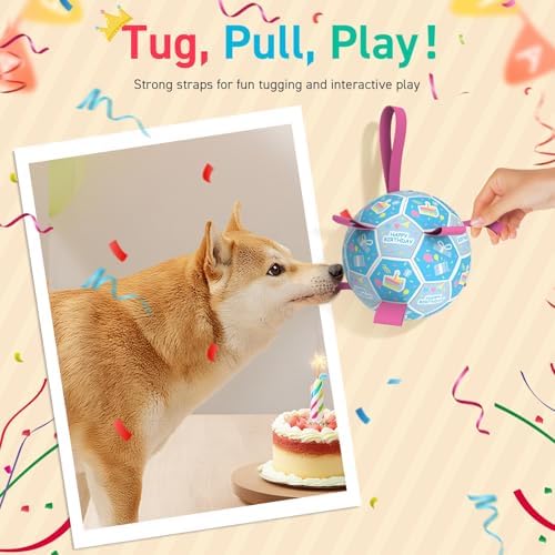 QDAN Dog Birthday Toys, Puppy Birthday Gifts, Dog Soccer Ball with Straps - Image 3