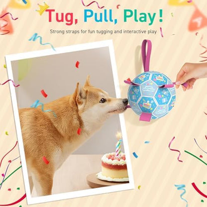 QDAN Dog Birthday Toys, Puppy Birthday Gifts, Dog Soccer Ball with Straps - Image 3