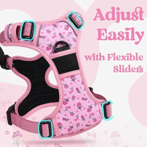 rabbitgoo Dog Harness for Large, Updated Easy On & Off with 3 Buckles - Image 4
