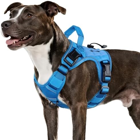 WINGOIN Blue Tactical Dog Harness for Medium Size Dogs,No Pull Dog Harness by WINGOIN