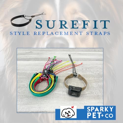 Replacement GPS eCollar with Adjustable Bungee, Multi-Hole Design, and Secure Toggle Closure for Small Dogs (Teal Blue, Small Neck)