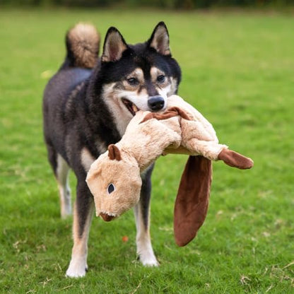 Best Pet Supplies 2-in-1 Stuffless Squeaky Dog Toy - Squirrel, Medium - Image 6