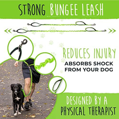 Mighty Paw Hands Free Dog Leash | Bungee Waist Leash for Dog Walking. Pet Running Hands Free Tether for Large, Medium & Small Breeds. Pet Waist Belt (36" - 48") Up to 150 lbs - Green - Image 2