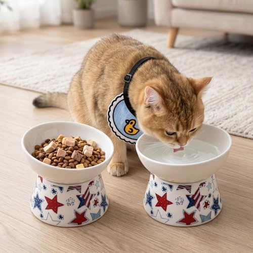 Ceramic Raised Cat Food Bowl, 15° Tilted Elevated Pet Bowl for Whisker & Neck Fatigue Relief, Dishwasher & Microwave Safe, Non-Slip Ergonomic Water Bowl for Cats & Dogs (White) - Image 4
