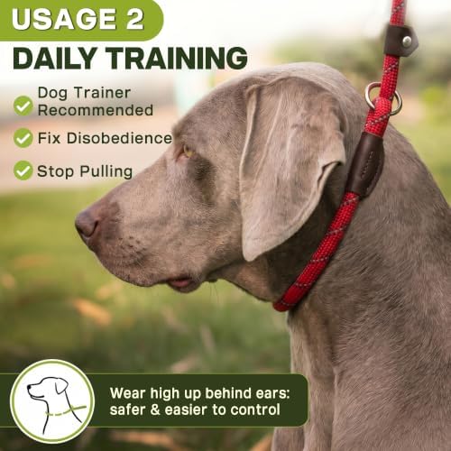Fida Durable Slip Lead Dog Leash, 6 FT x 3/8" Dog Training Leash, Red - Image 5