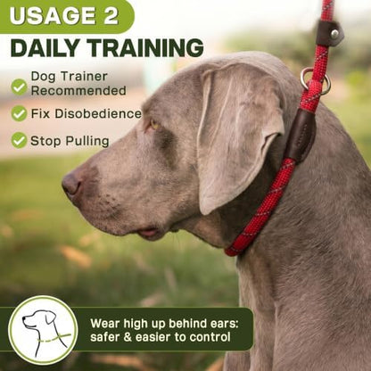 Fida Durable Slip Lead Dog Leash, 6 FT x 3/8" Dog Training Leash, Red - Image 5