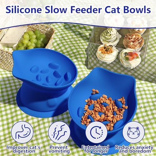 Slow Feed Cat Bowl, Elevated Cat Food Dish with Tilted Design, Dual-Use for Dry and Wet Food, Anti-Vomit, Anti-Choking, Easy to Clean - Image 2