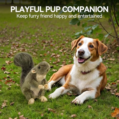 ALL FOR PAWS Interactive Dog Squirrel Plush Squeaky Toy - Perfect Puppy Enrichment Toy, Large - Image 6