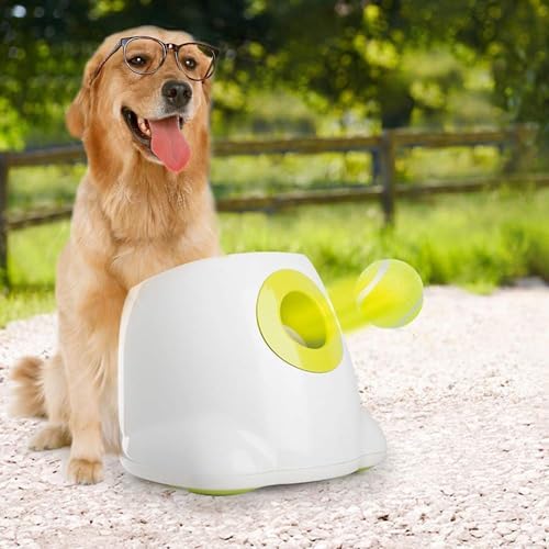 ALL FOR PAWS Interactive Super Bounce Tennis Balls Dog Toy, Pet Safe Toys for Exercise and Training, 2.5 Inch Diameter (6 Pack) - Image 7