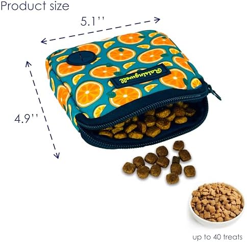 Raisingwell Dog Treat Pouch for Pet Walking and Training with Clicker Poop Bags Small Fanny Zipper Pack Holder for Puppy Snack Dispenser Kit for Leash and Outdoor Use (Fruit Orange) - Image 3